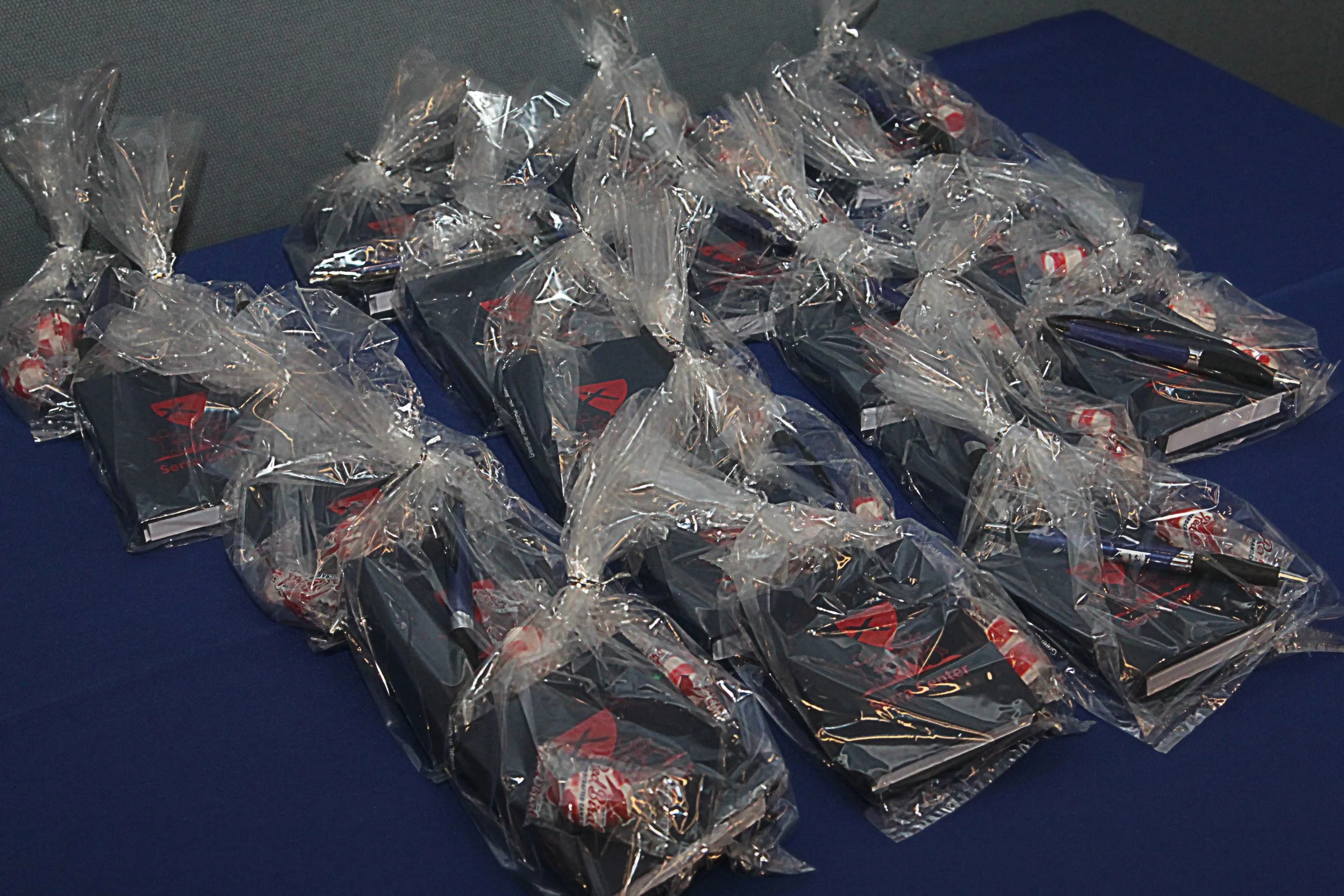 Serra Art Auction-2025- 304.JPG