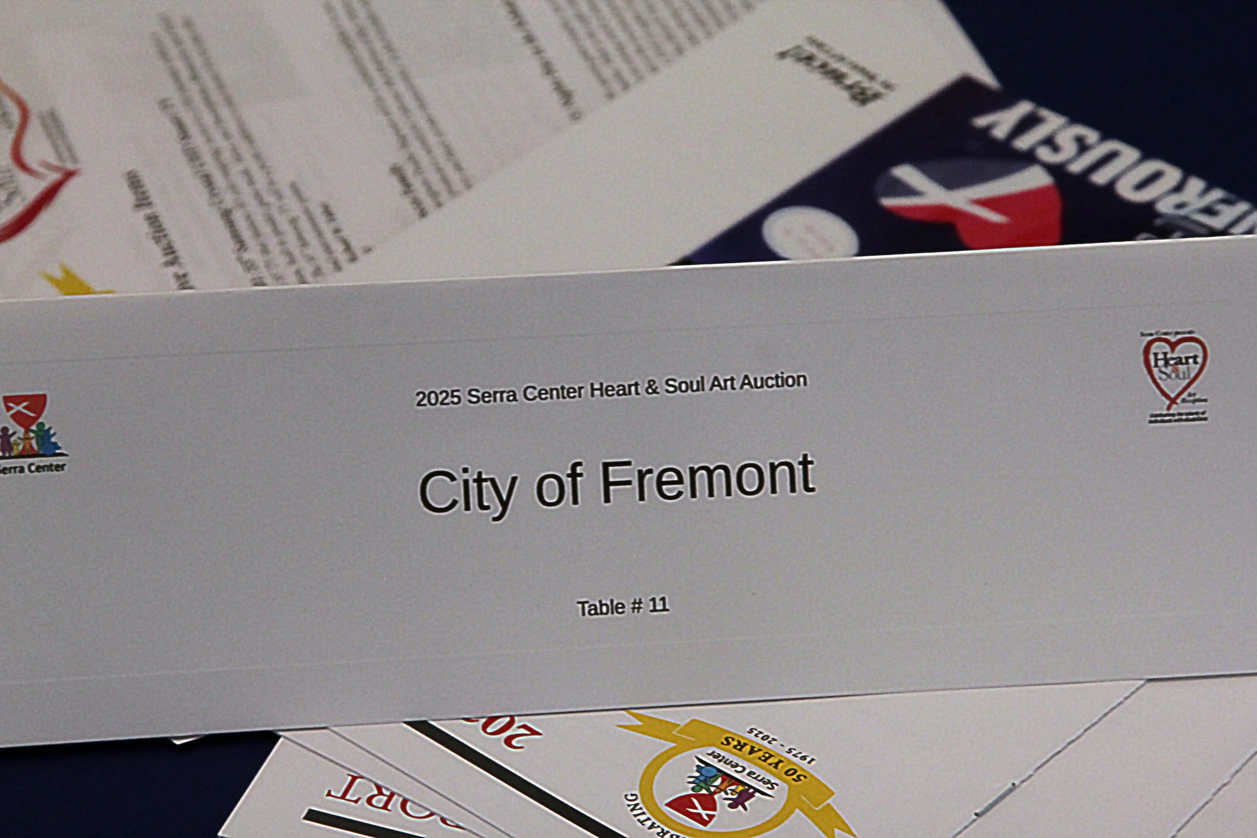 Serra Art Auction-2025- 354.JPG