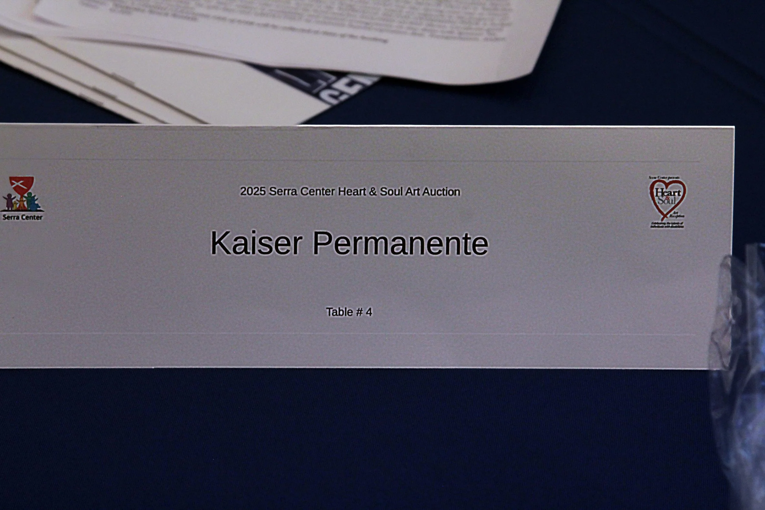 Serra Art Auction-2025- 360.JPG