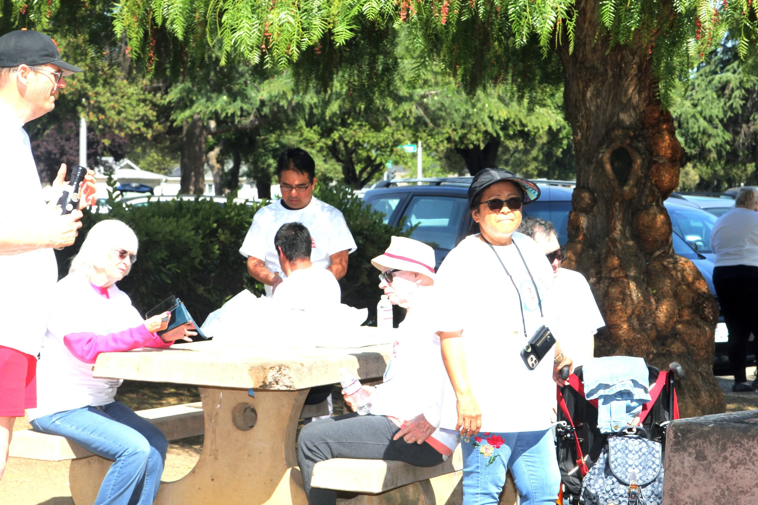 Serra Walk 2025 001.JPG