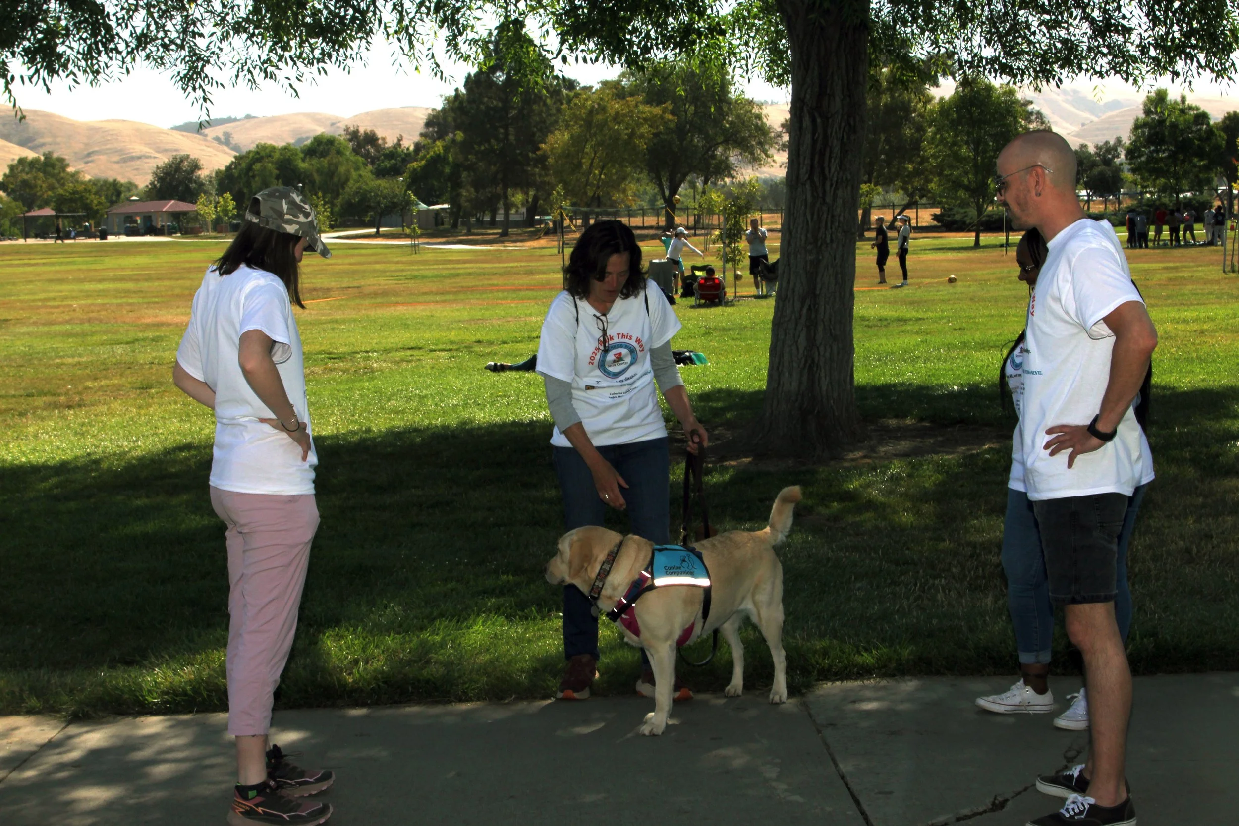 Serra Walk 2025 013.JPG