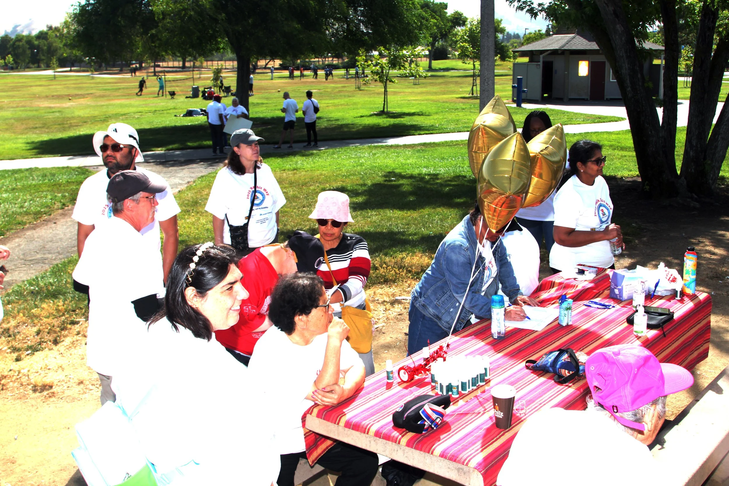 Serra Walk 2025 032.JPG