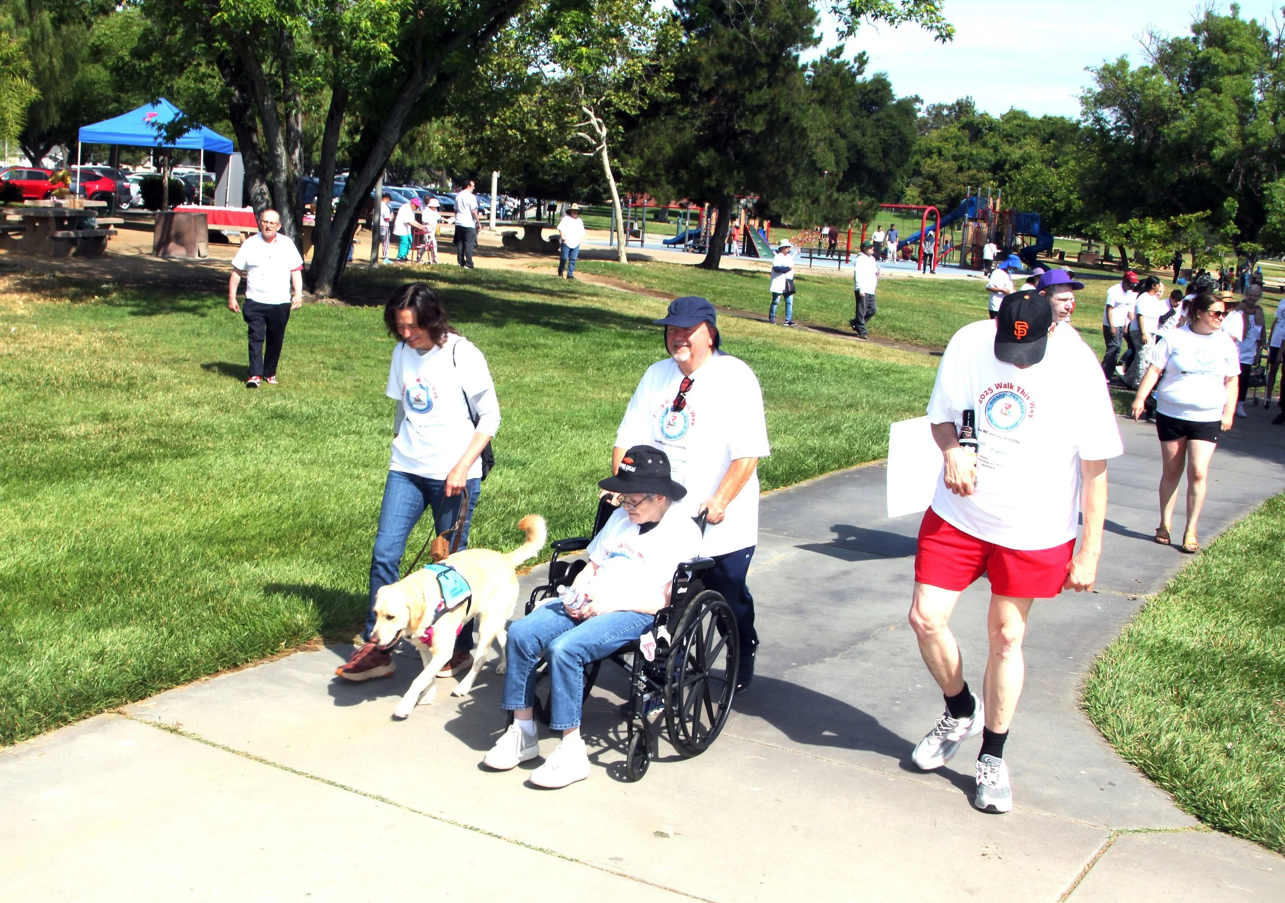 Serra Walk 2025 058.JPG