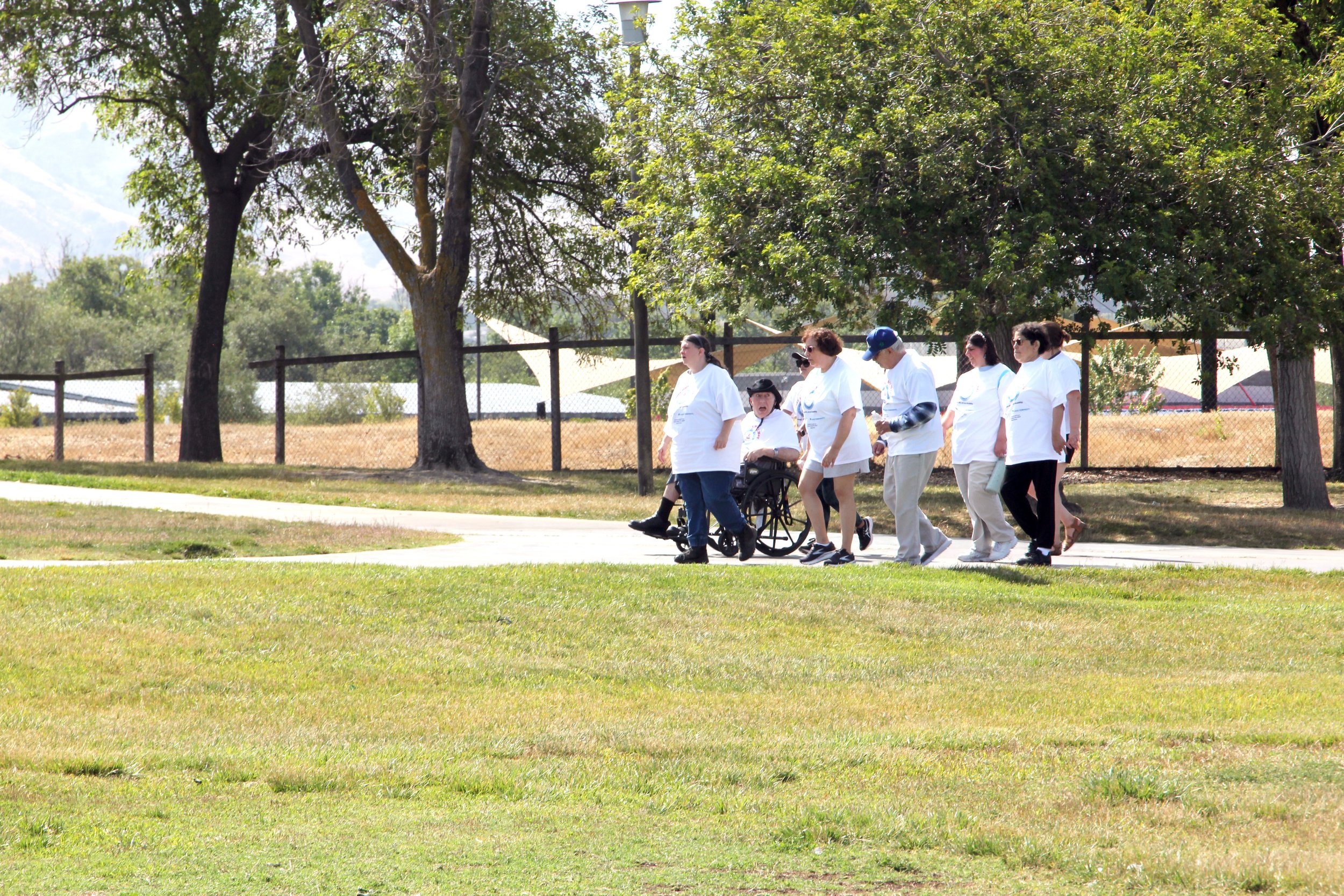 Serra Walk 2025 068.JPG