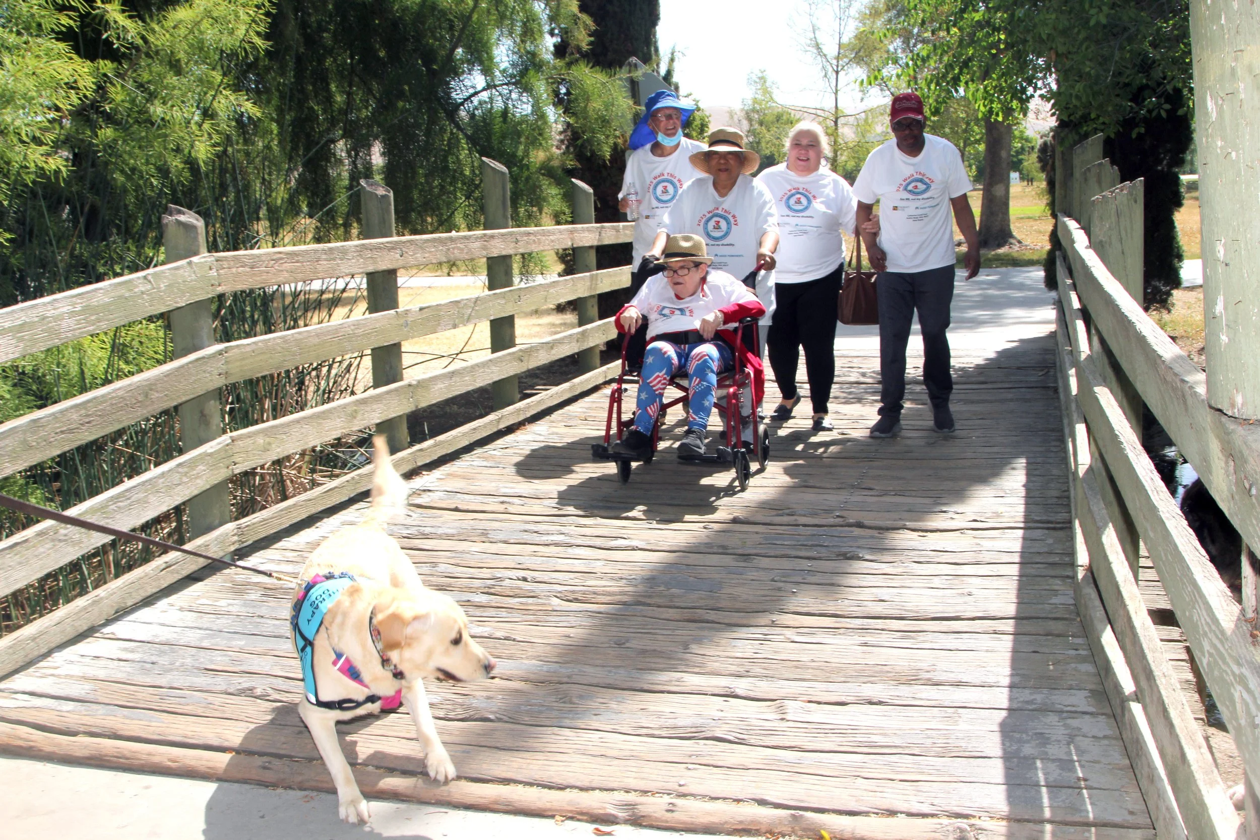 Serra Walk 2025 084.JPG