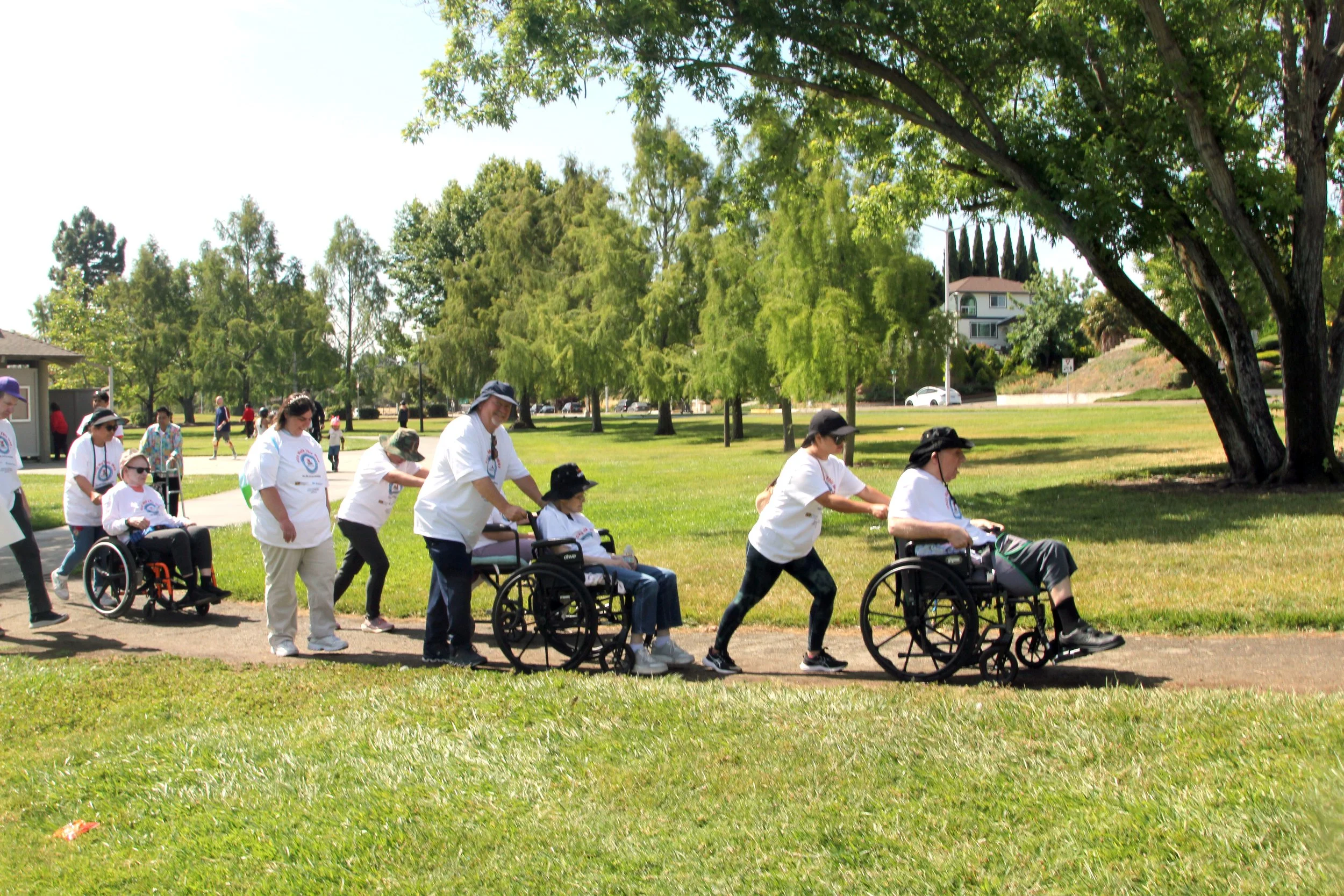 Serra Walk 2025 089.JPG