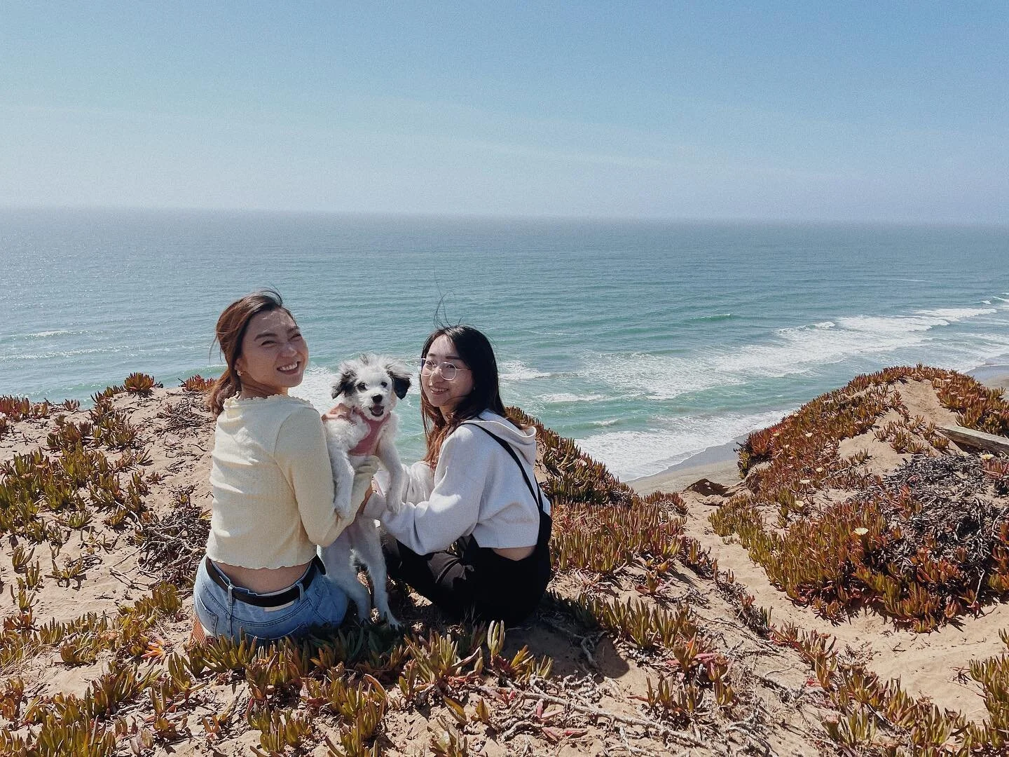 I had spent my entire weekend with puppies 🐶, Sorry kitten🐱! Mommy still loves you a million!

Pic 2 &ldquo;Let me go!!!&rdquo; - Summer

#sf #summer #puppy #ca #nature