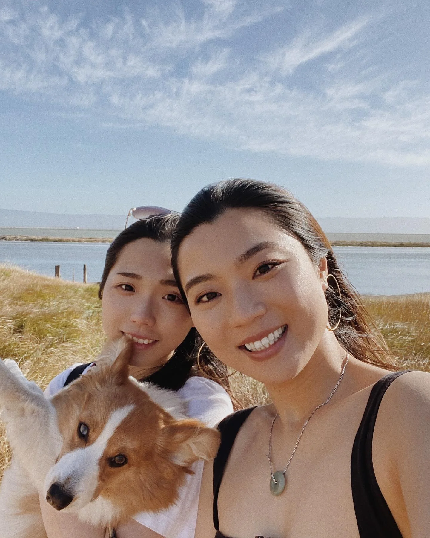 🇲🇾Malaysian 👧🏻+ 👩🏻Macanese🇲🇴
Team 🥭🥥
Swipe left for the silly faces 😂

#sf #summer #puppy #ca #nature