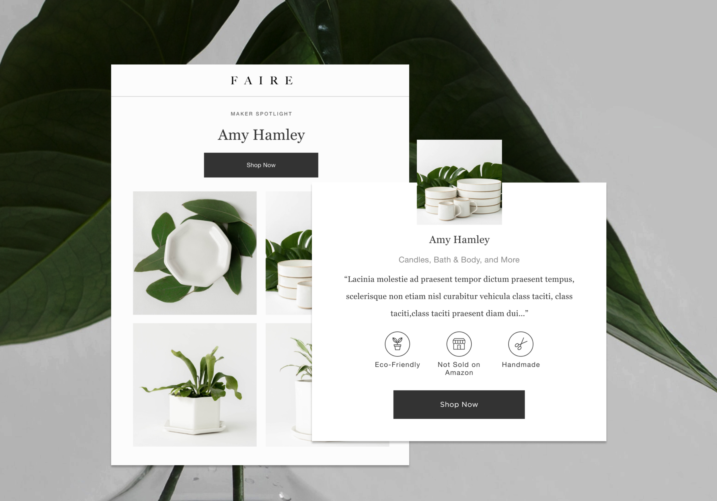 Email+Experance+Redesign_Preview.png