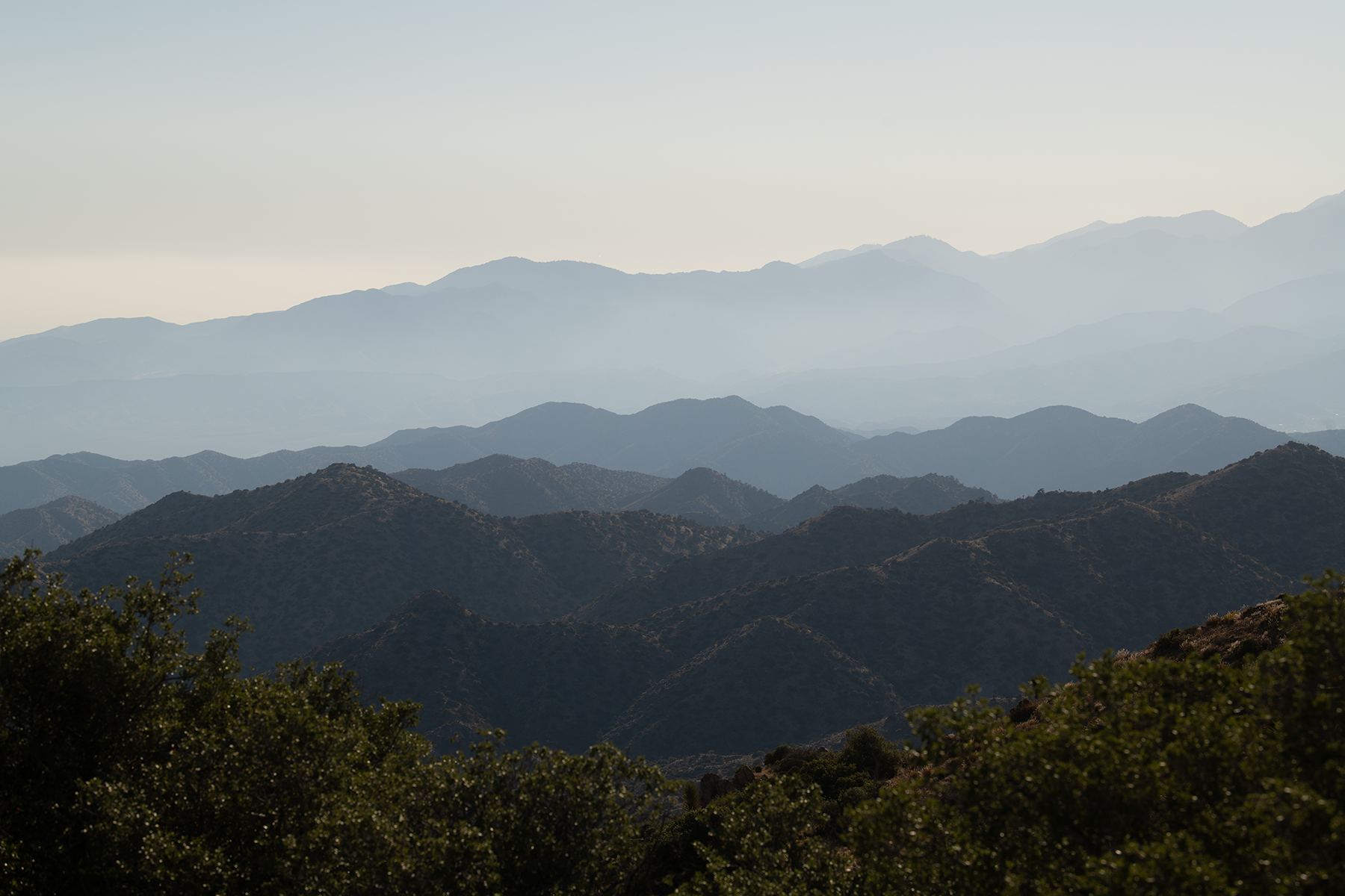 DSC_4012.png