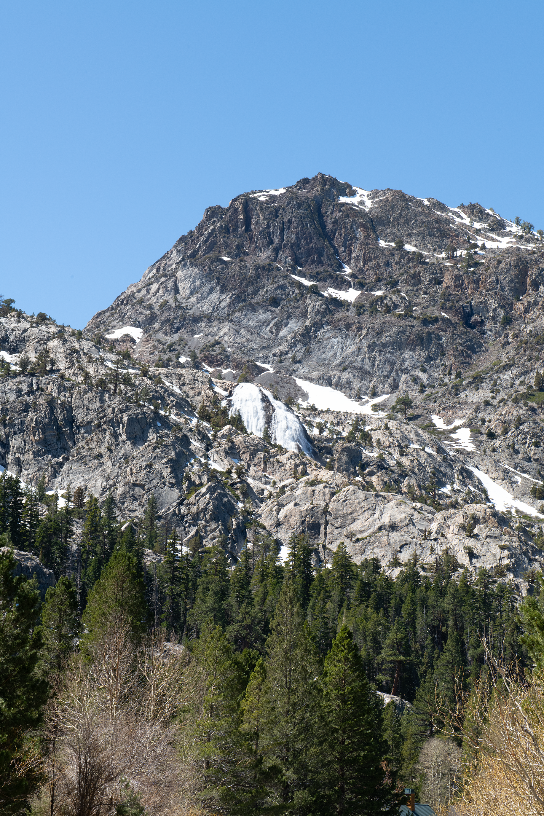 DSC_2816.png