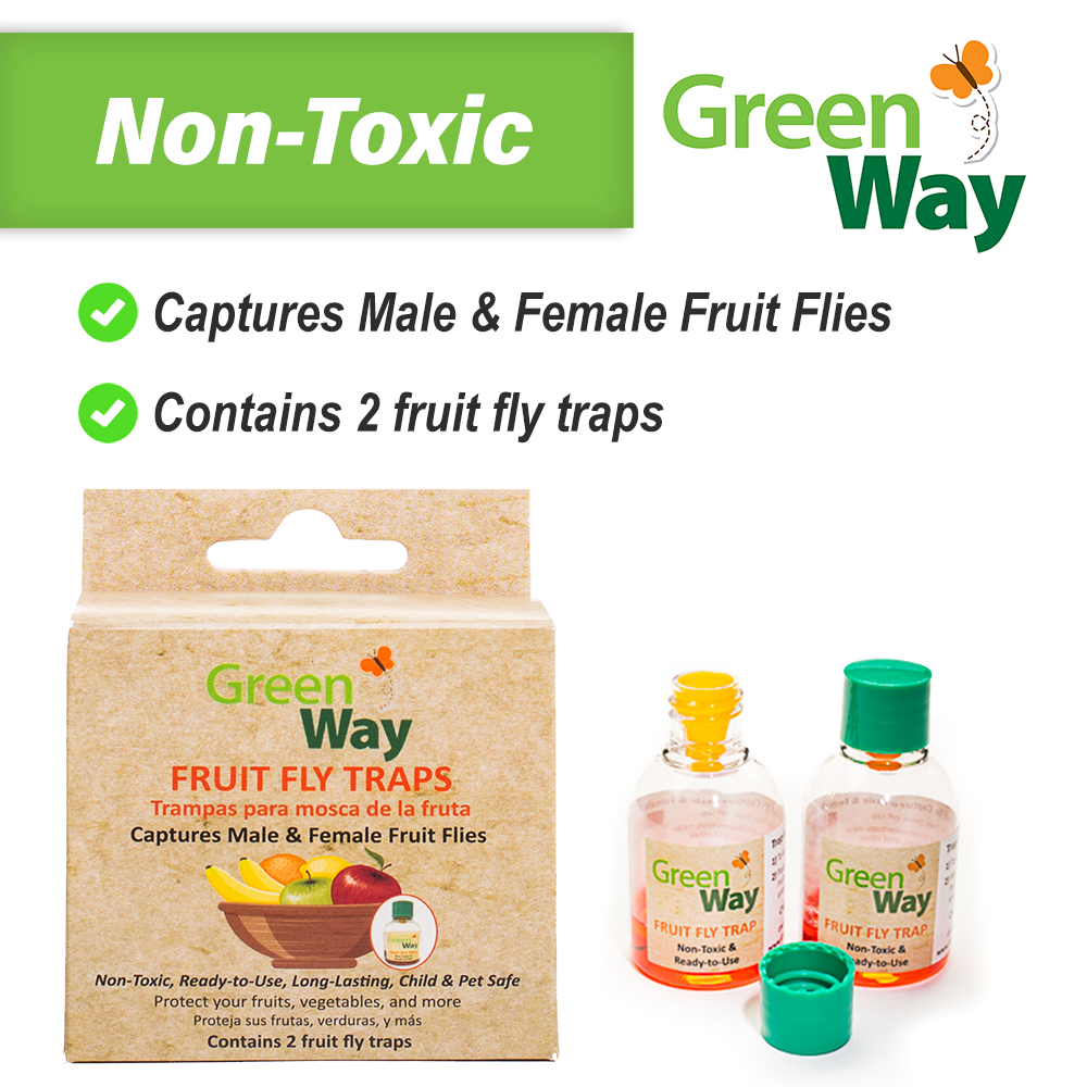 GW-Fruit Fly Image 2-Final.png