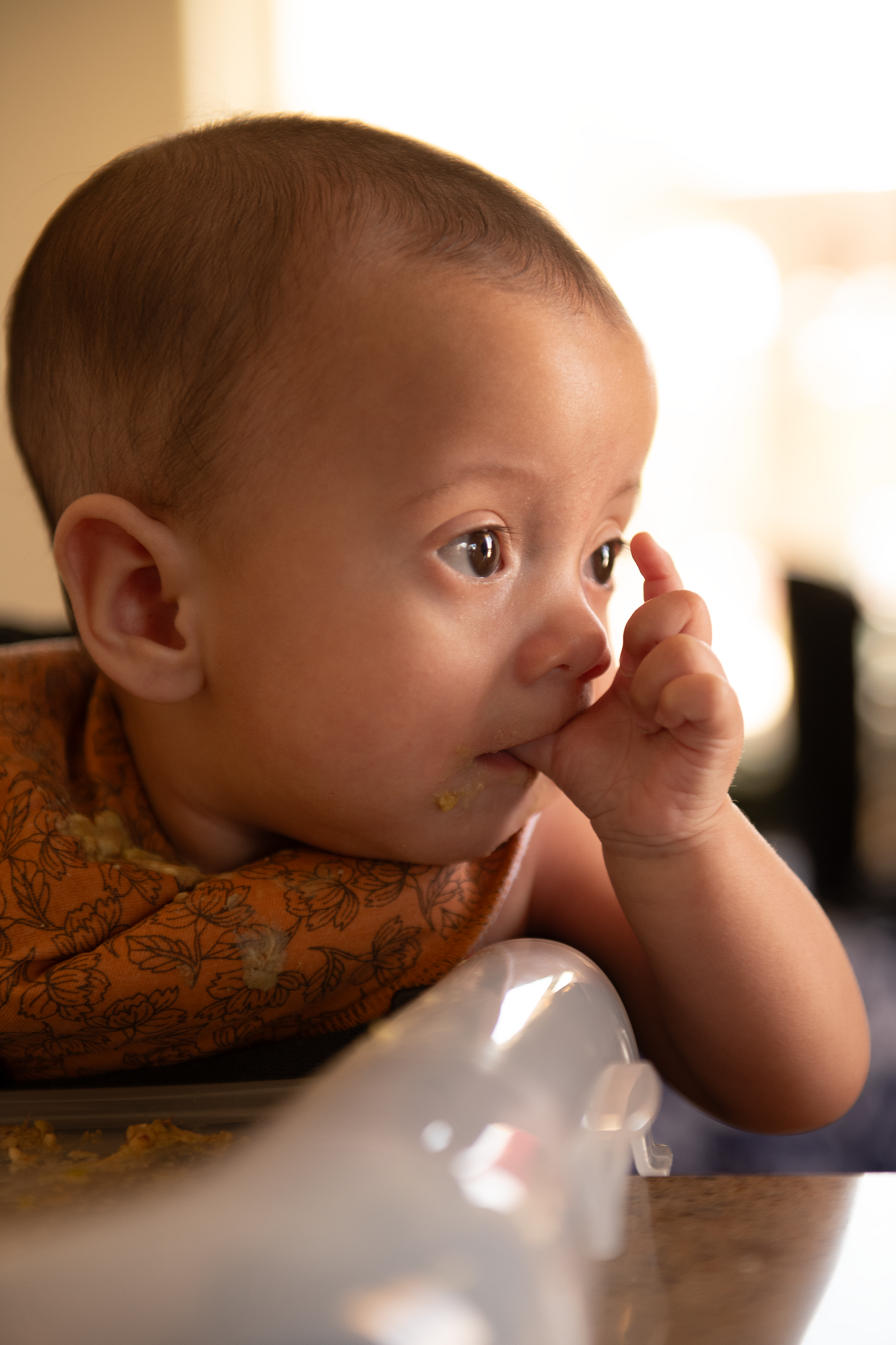 Rylee Eating Large 4.png