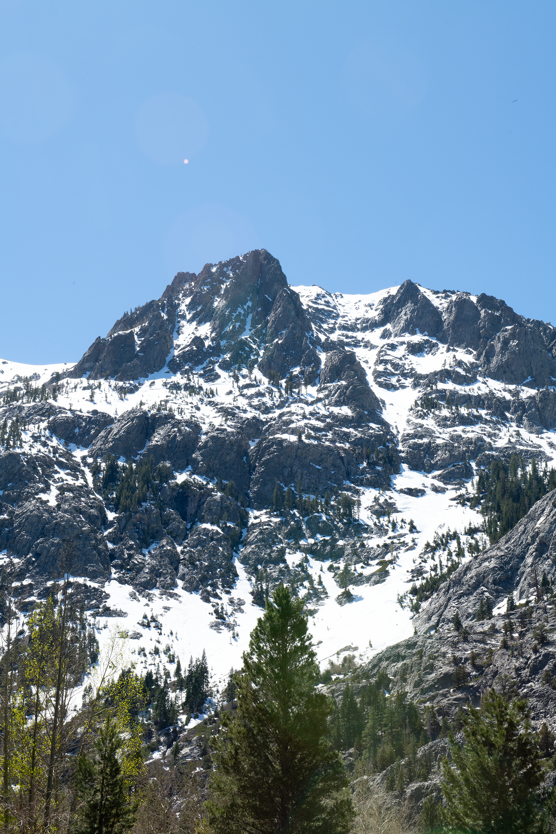 DSC_2818.png
