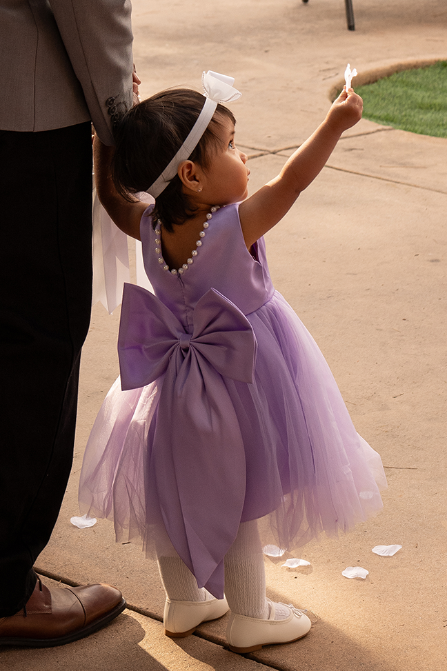 DSC_3399XCROP.png