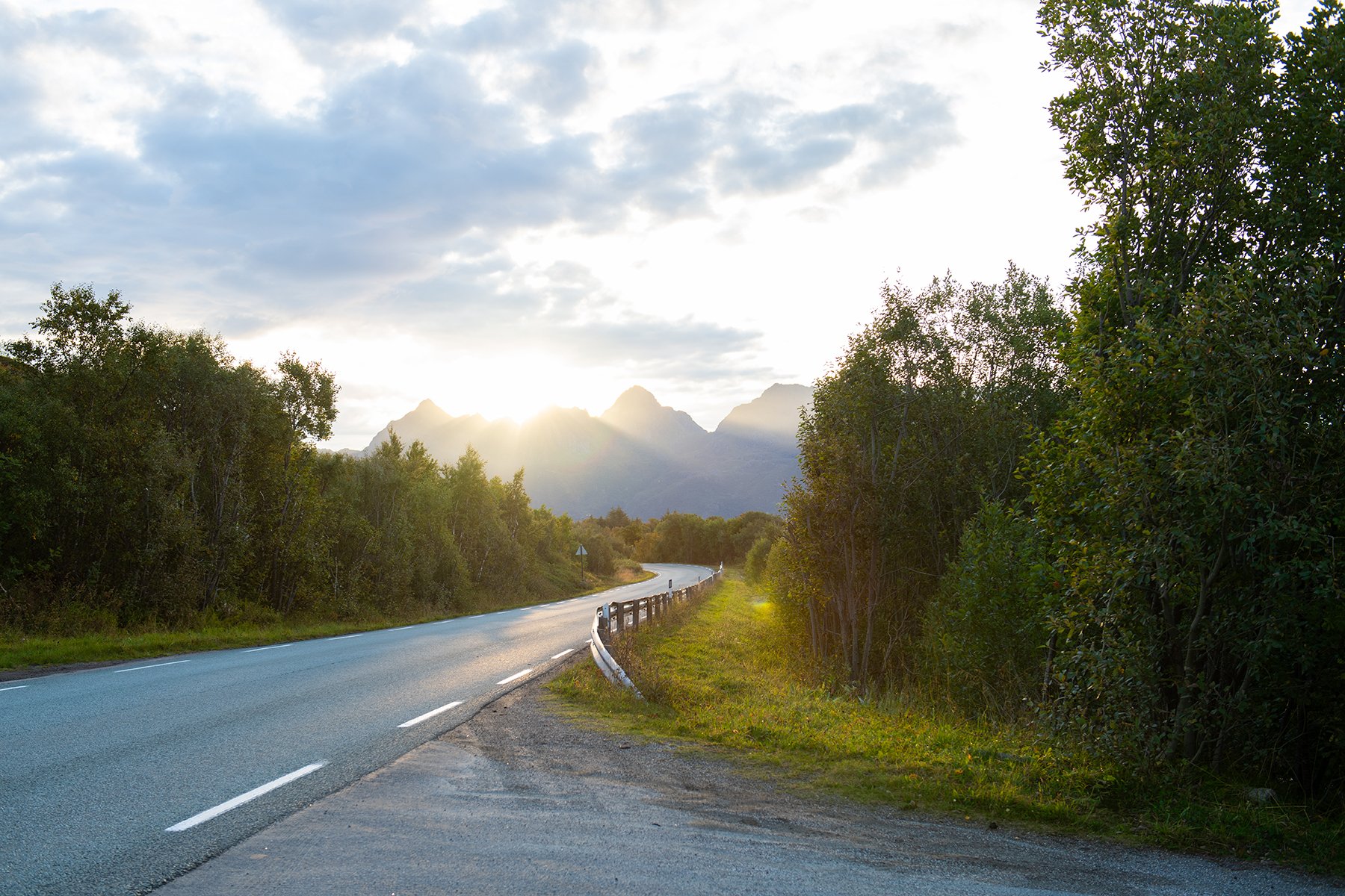 DSC_0206 copy.jpg