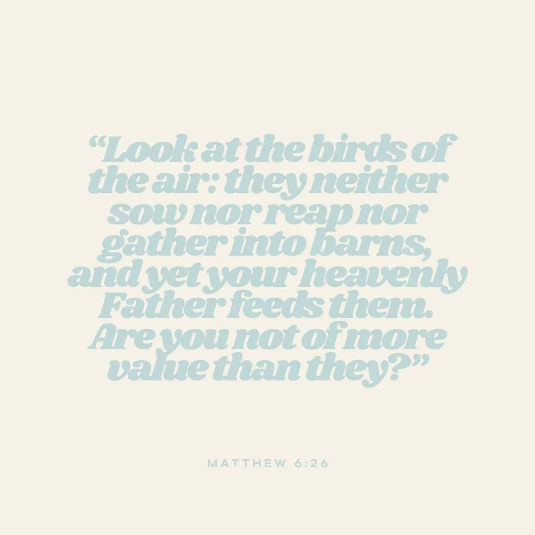 The full passage that inspired the Spring Box, Matthew 6:25-34 was too long to put in the graphic but I wanted to include it all here:

&ldquo;Therefore I tell you, do not be anxious about your life, what you will eat or what you will drink, nor abou