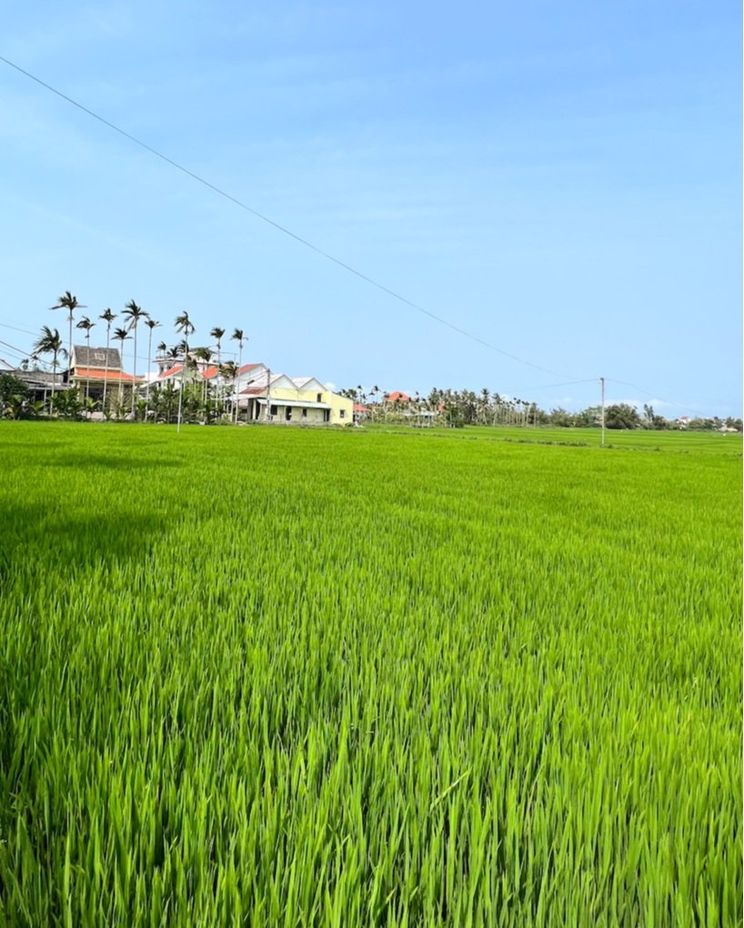 Hoi An vietnam worth visiting