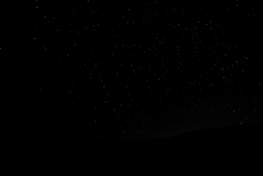 photo-1603366615917-1fa6dad5c4fa.jpeg