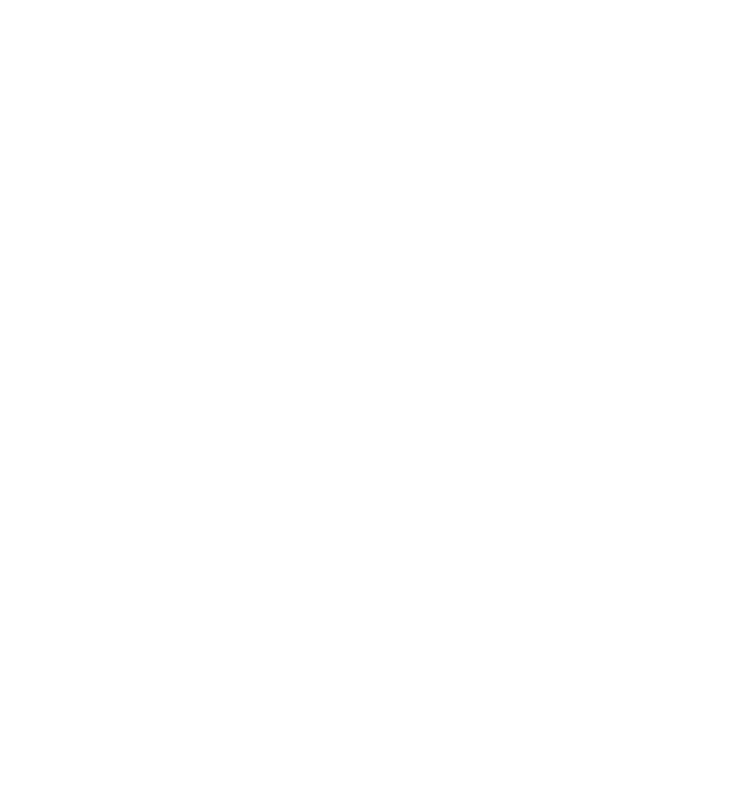 Hometeam Pizza