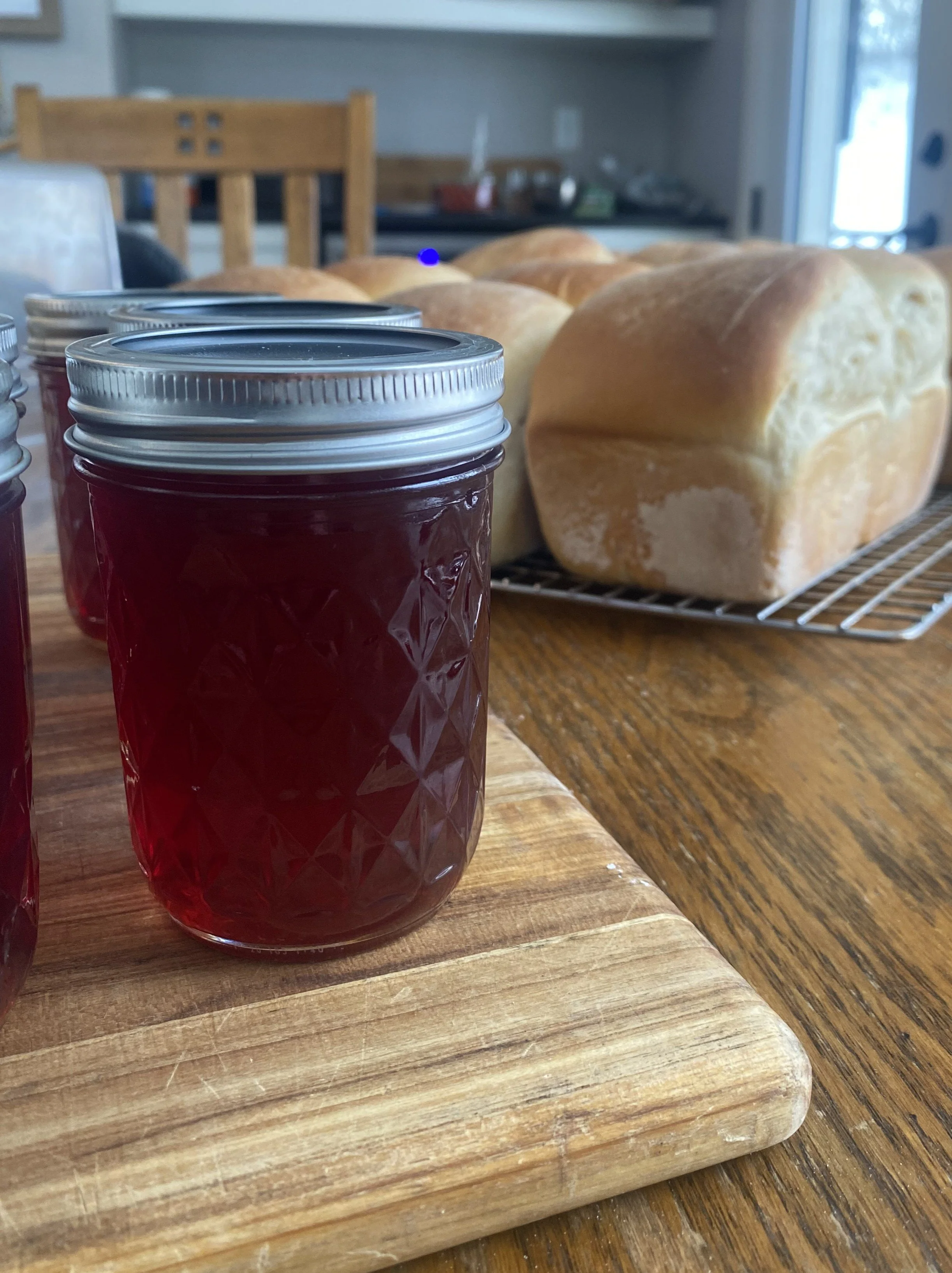 🍓Rebel Jam & Jellies🍋