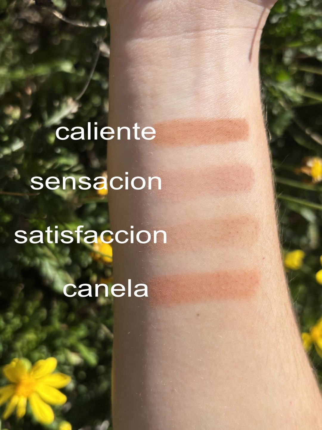 Canela-makeup-warm-earth-cosmetics