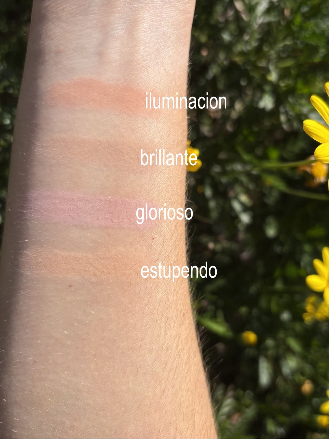 Warm-Earth-Cosmetics-Pottery-highlight-blush-color