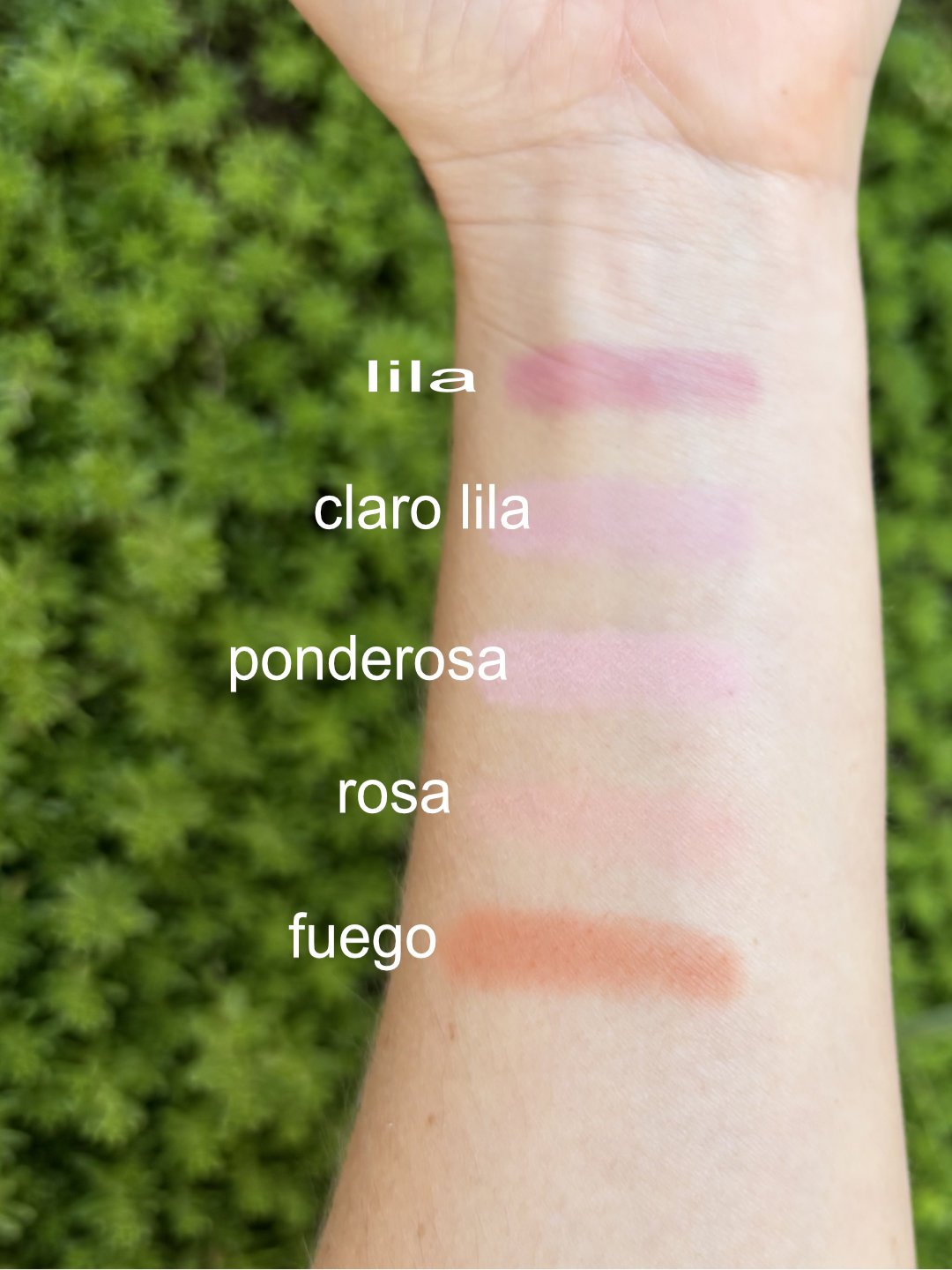 Ponderosa-warm-earth-blush-cosmetics