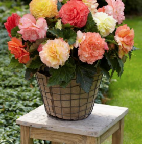 Screen Shot 2020-11-10 at 11.40.33 AM.png