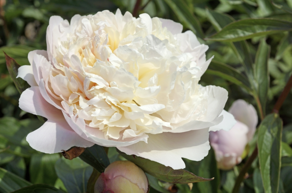 Screen Shot 2020-12-09 at 10.05.44 AM.png