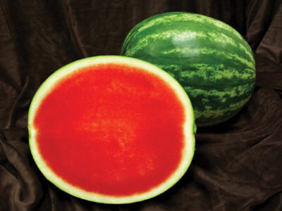 Watermelon_Citation-400x300.jpg