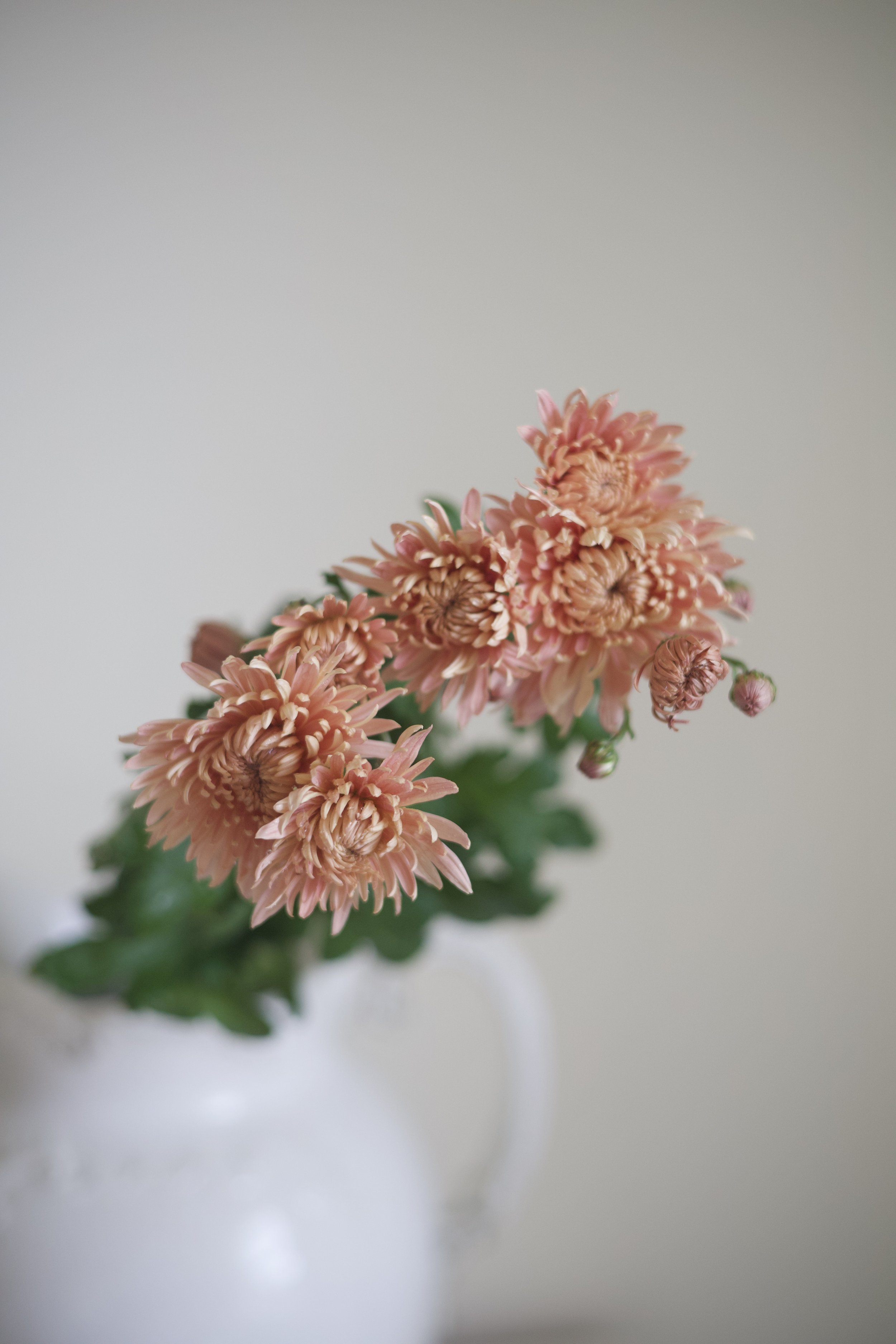 IMG_6201.jpeg
