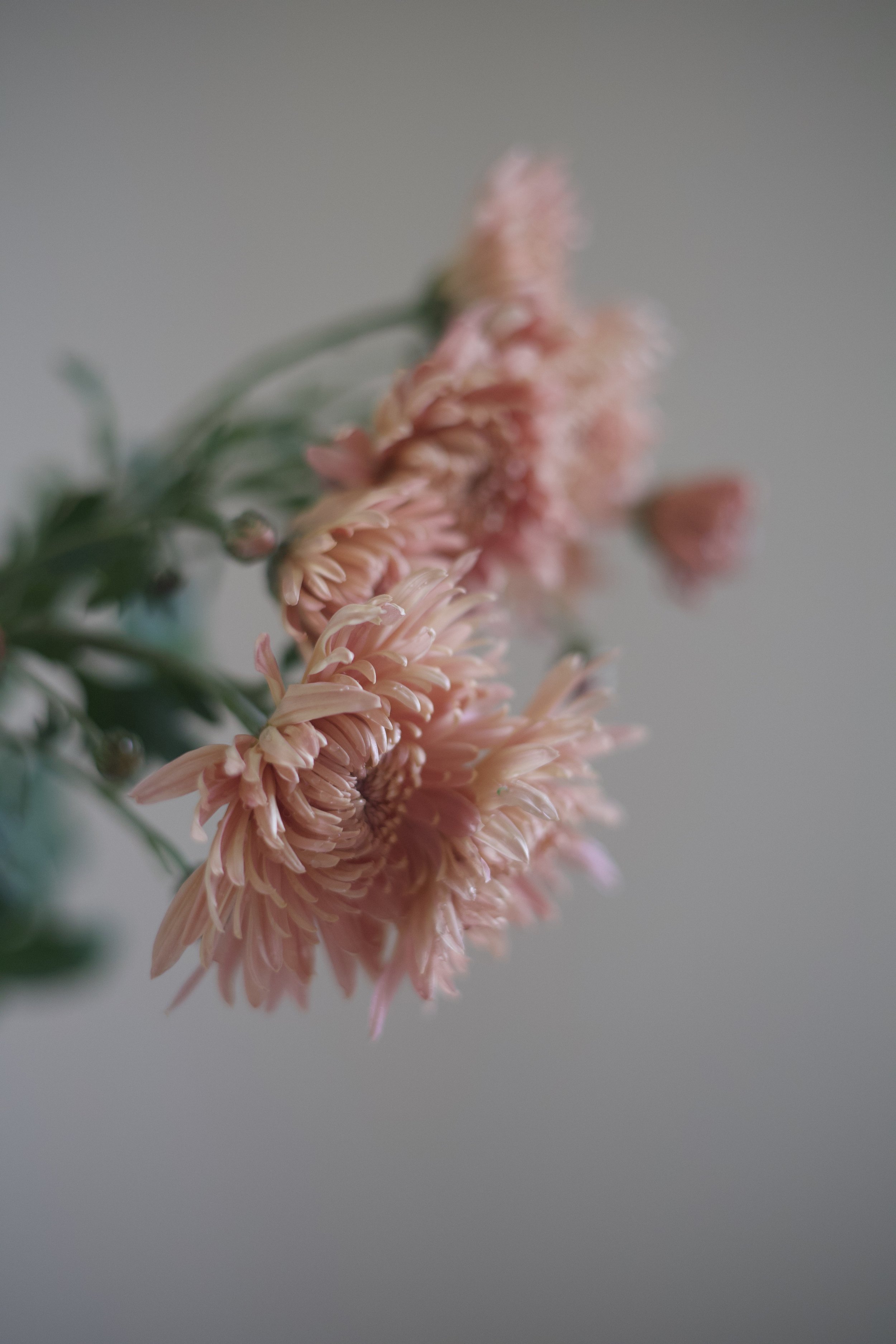IMG_6203.jpeg