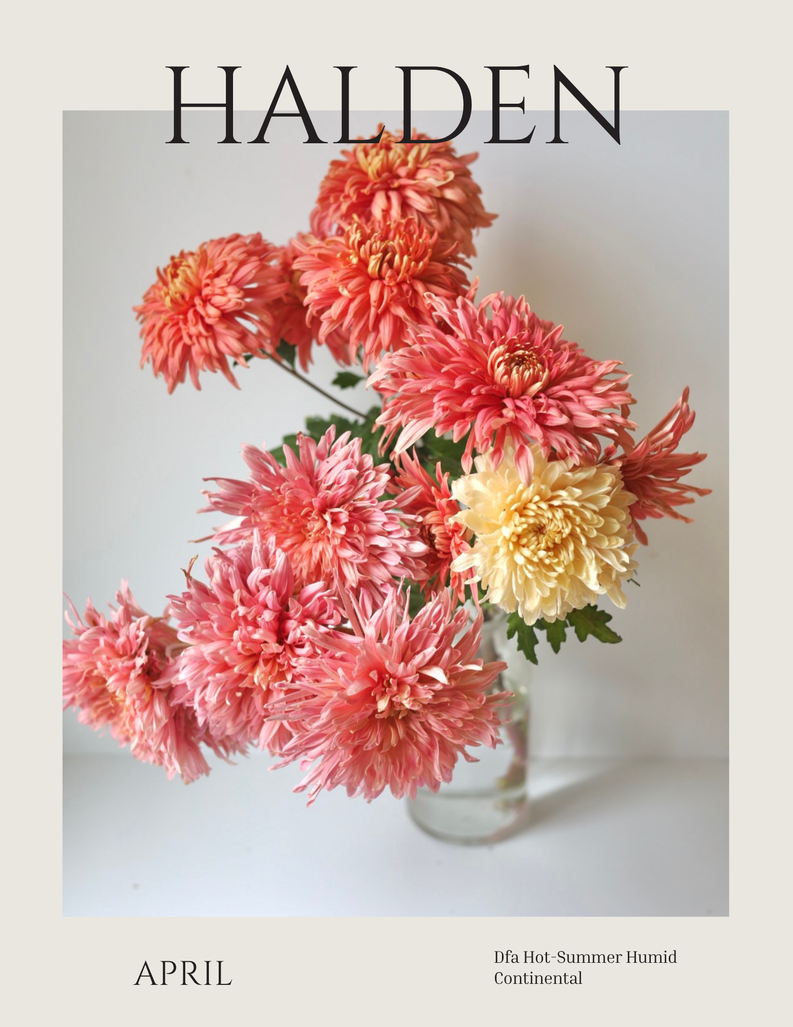 Front cover page.png