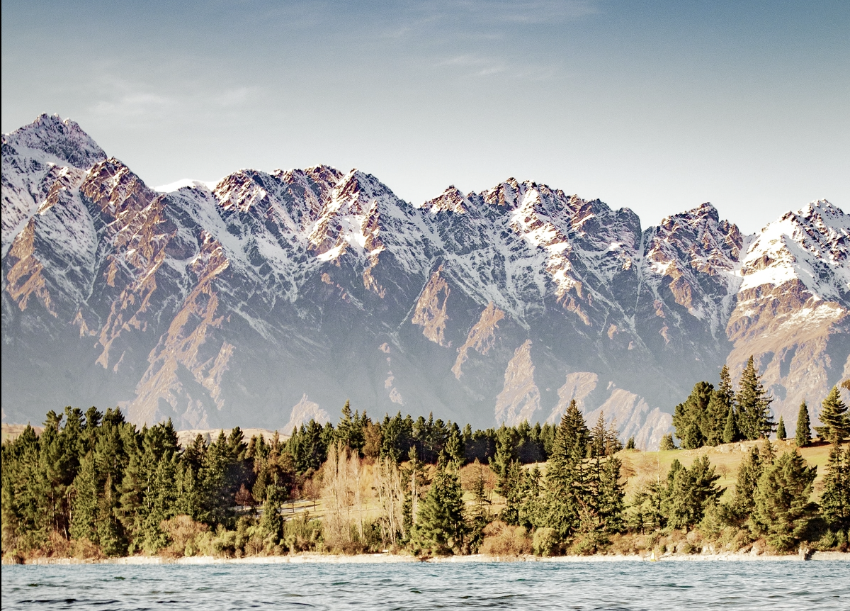 Screen Shot 2022-11-04 at 3.14.26 PM.png