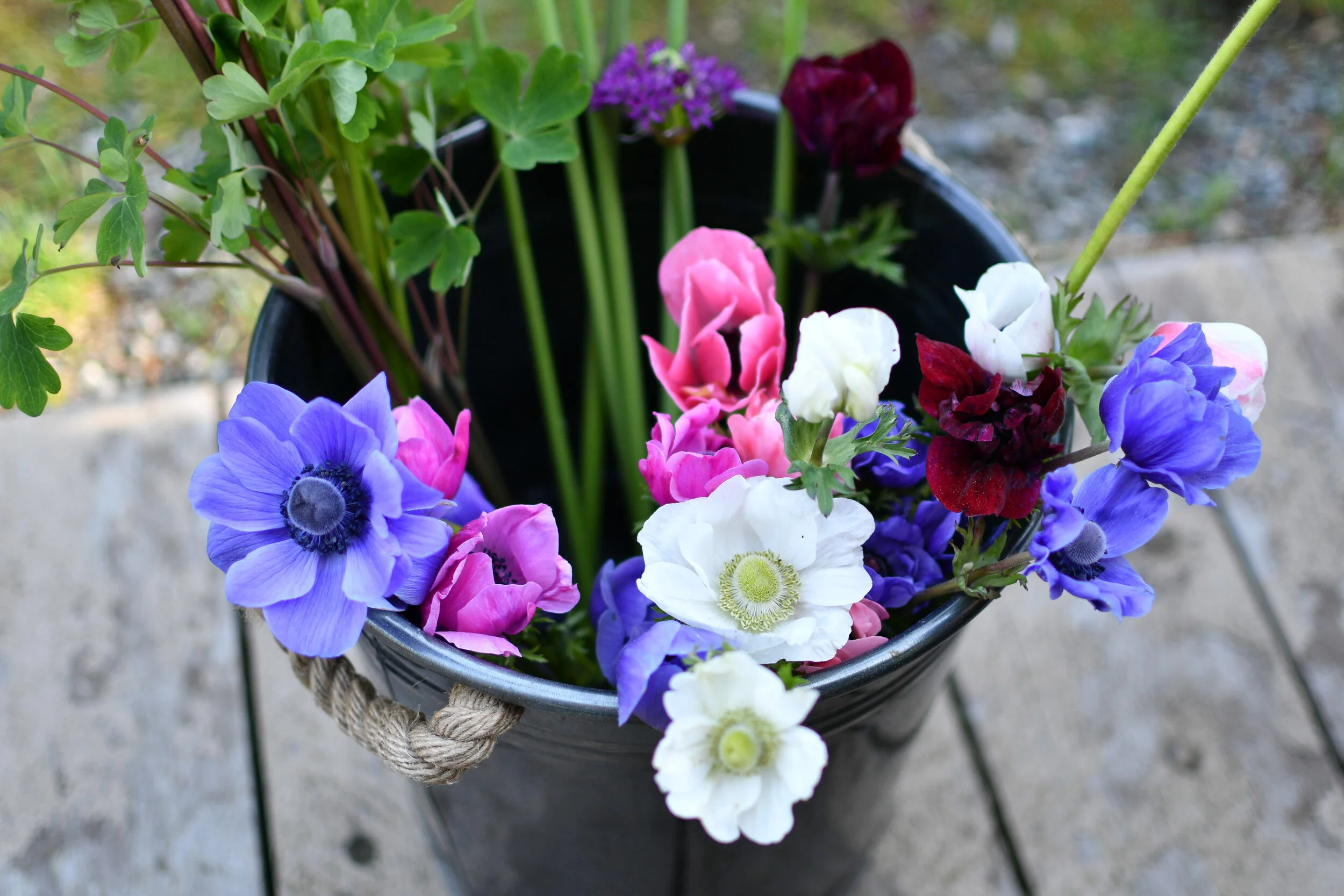 Late Winter & Spring Flowers-Pacific Floral | Comox Valley Florist ...