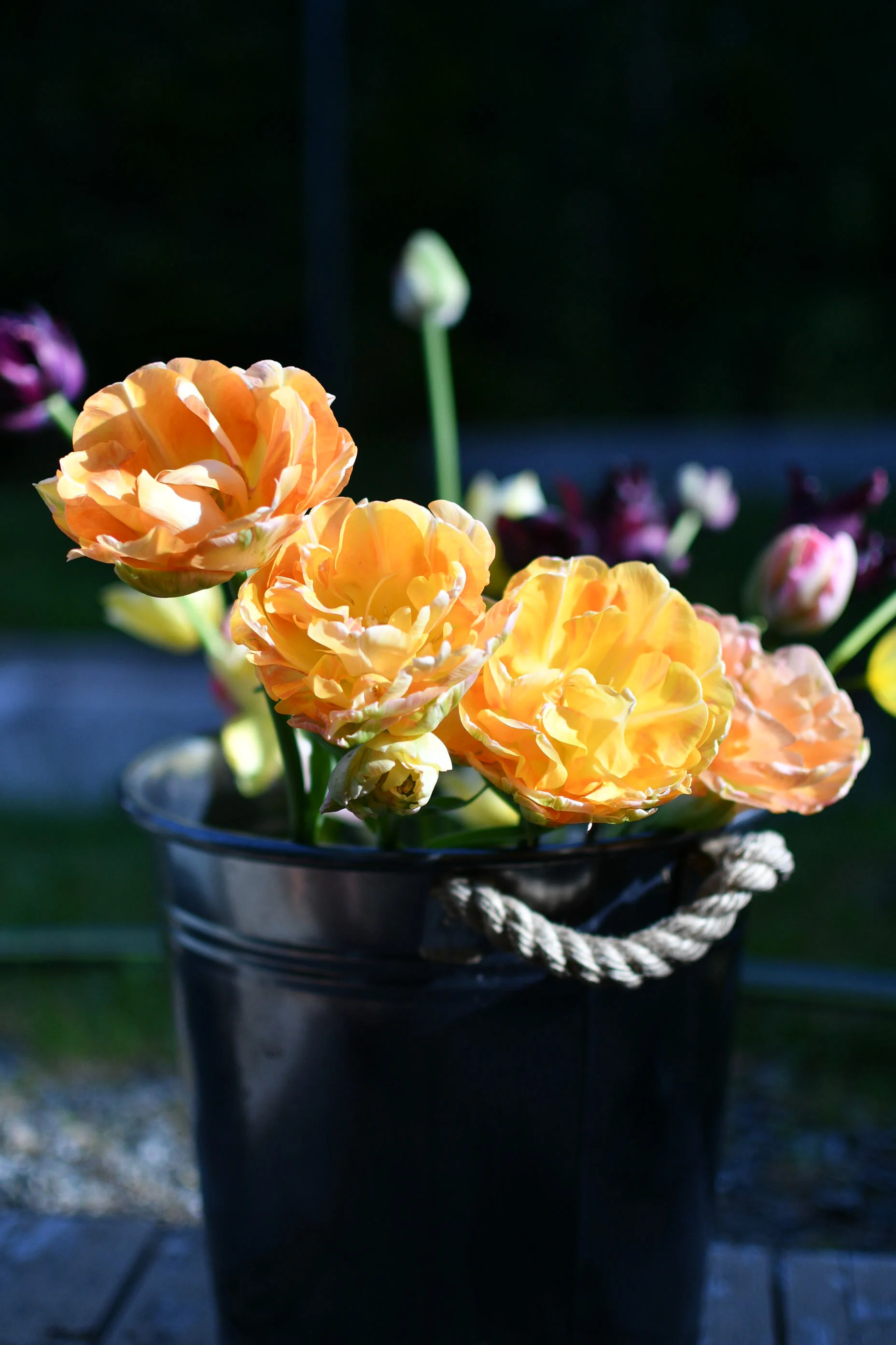 Late Winter & Spring Flowers-Pacific Floral | Comox Valley Florist ...