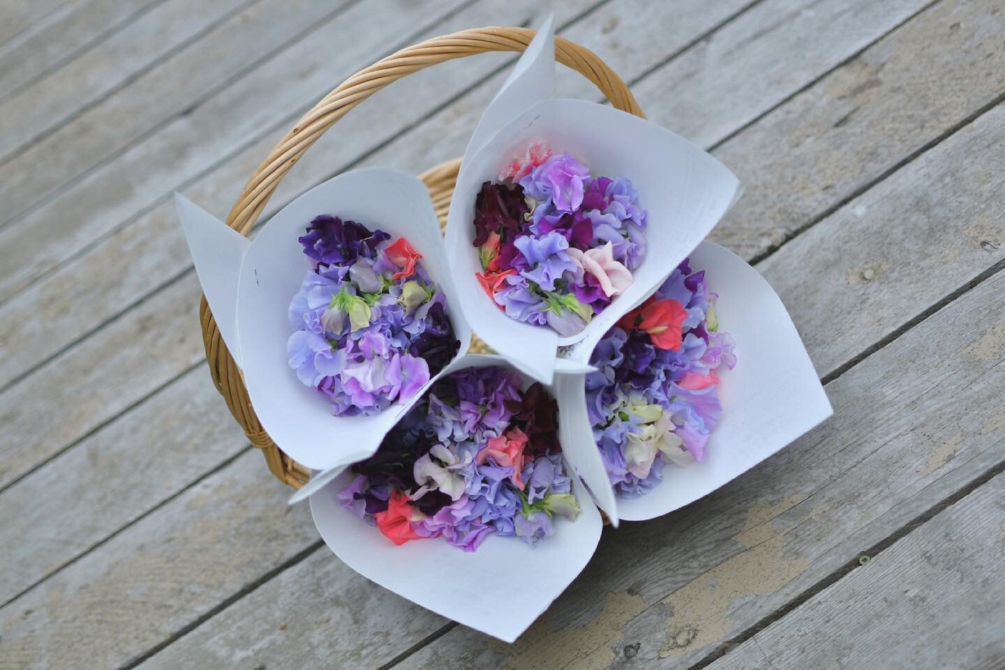 It&rsquo;s market day at the Tofino village greens! I&rsquo;ll be there with lots of beautiful mixed bouquets of seasonal summers blooms, and plenty of these fragrant sweet pea posies ! Come stop by today and say hello 10-2pm 💐
.
.
.
#marketseason #