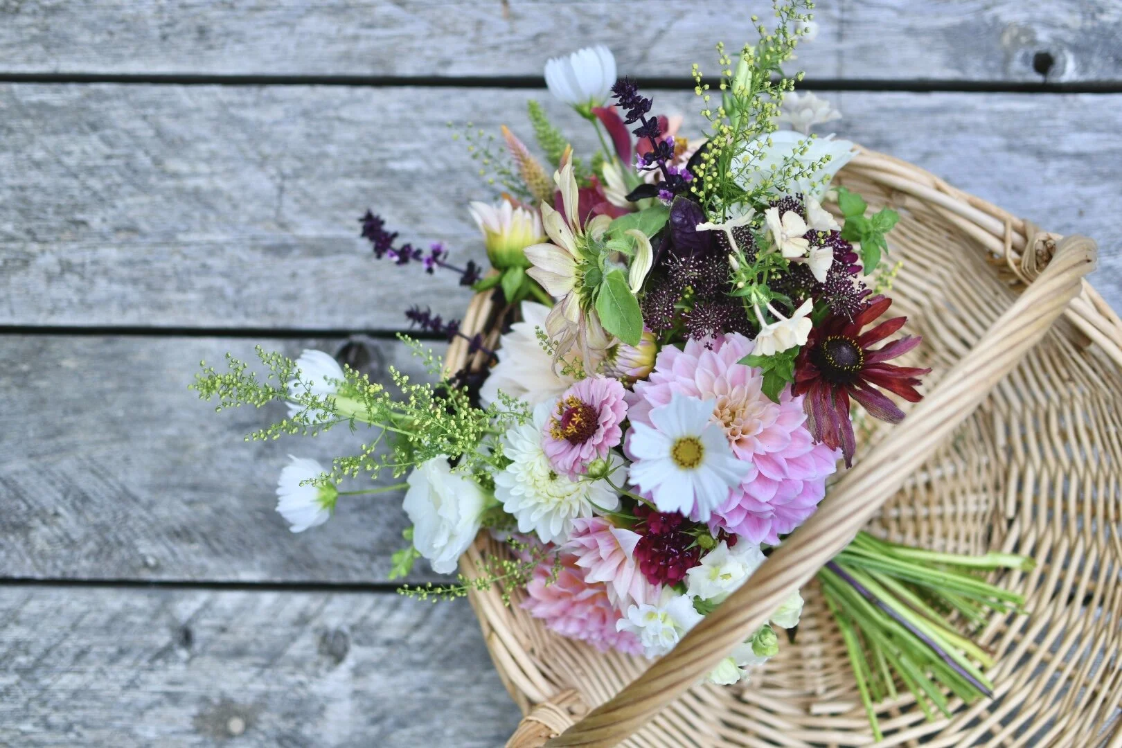 3B279EEA-56DD-40C8-959E-DC65A497EF87