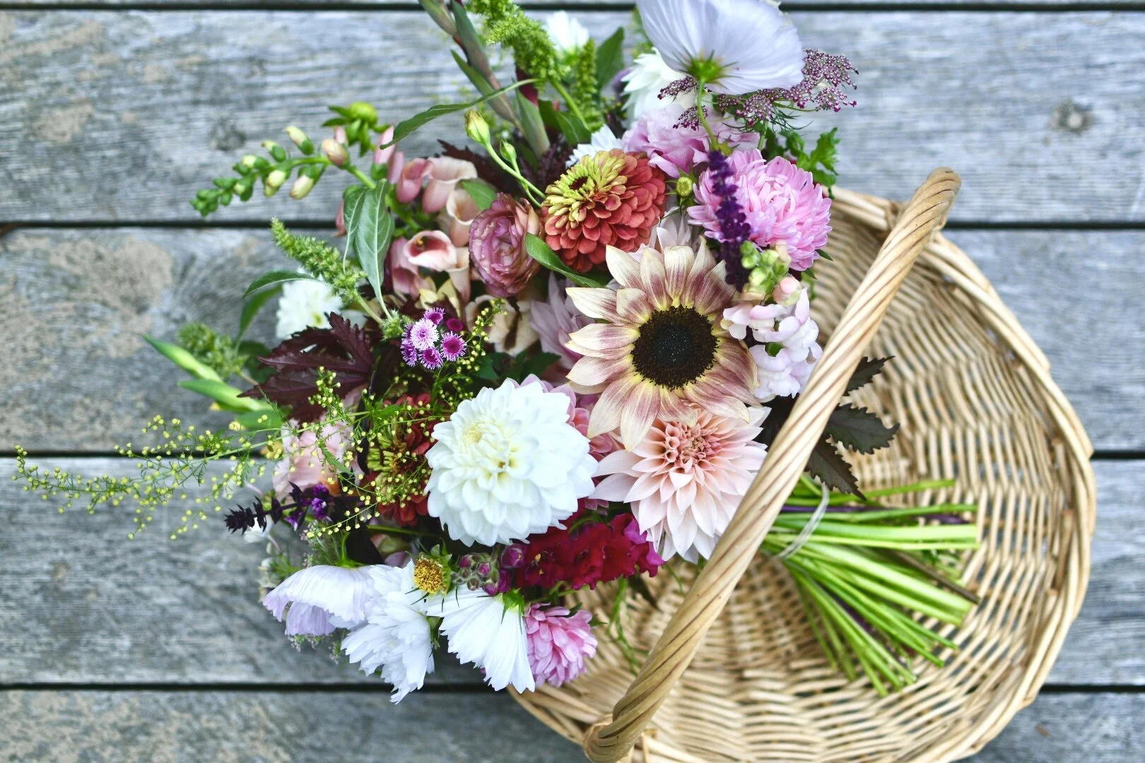 BEB34E09-51BF-4555-8A78-E697C599E21D