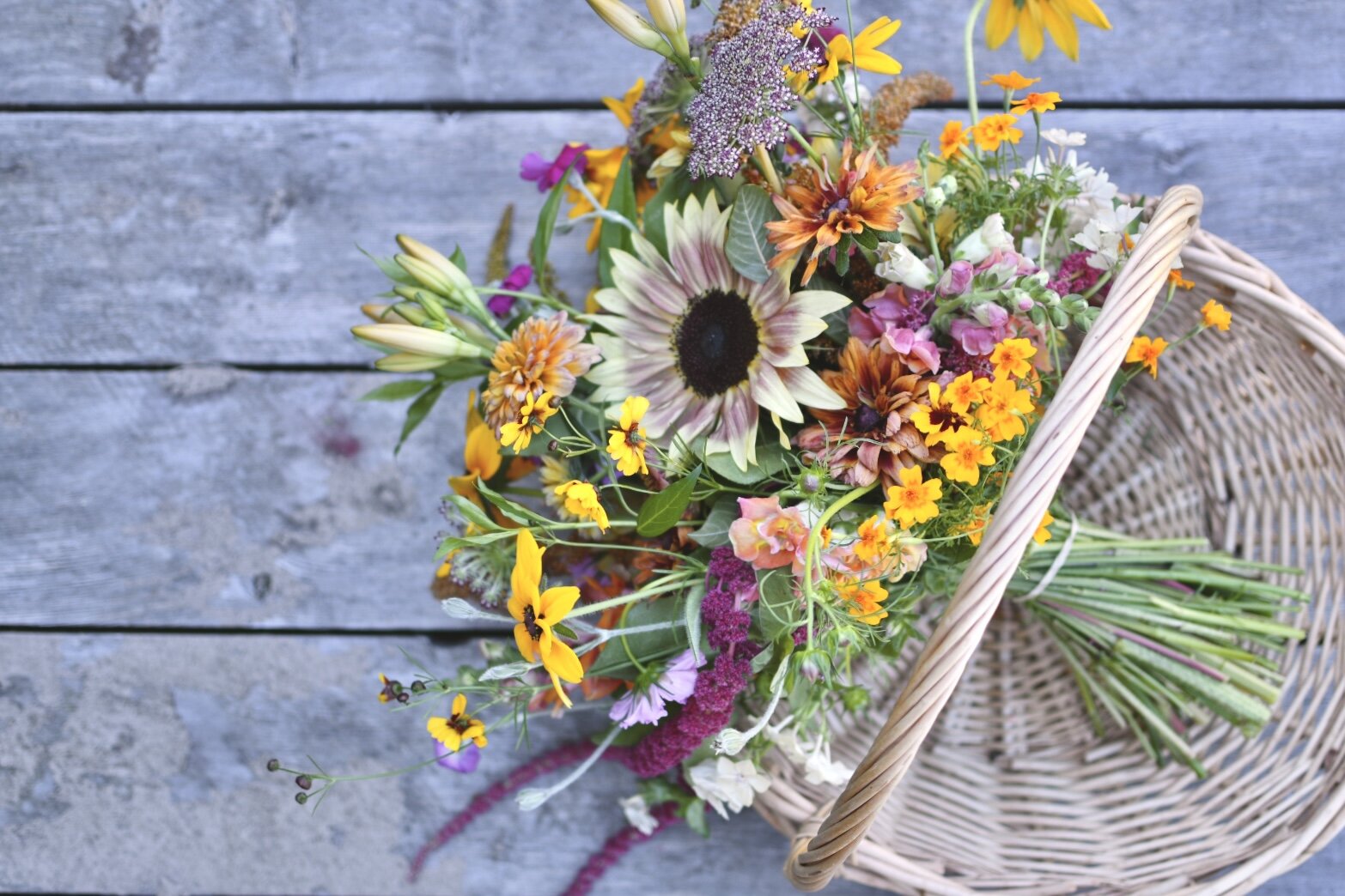 DBB4B9BD-A243-49B8-B1FF-0EFBC7B77BA0