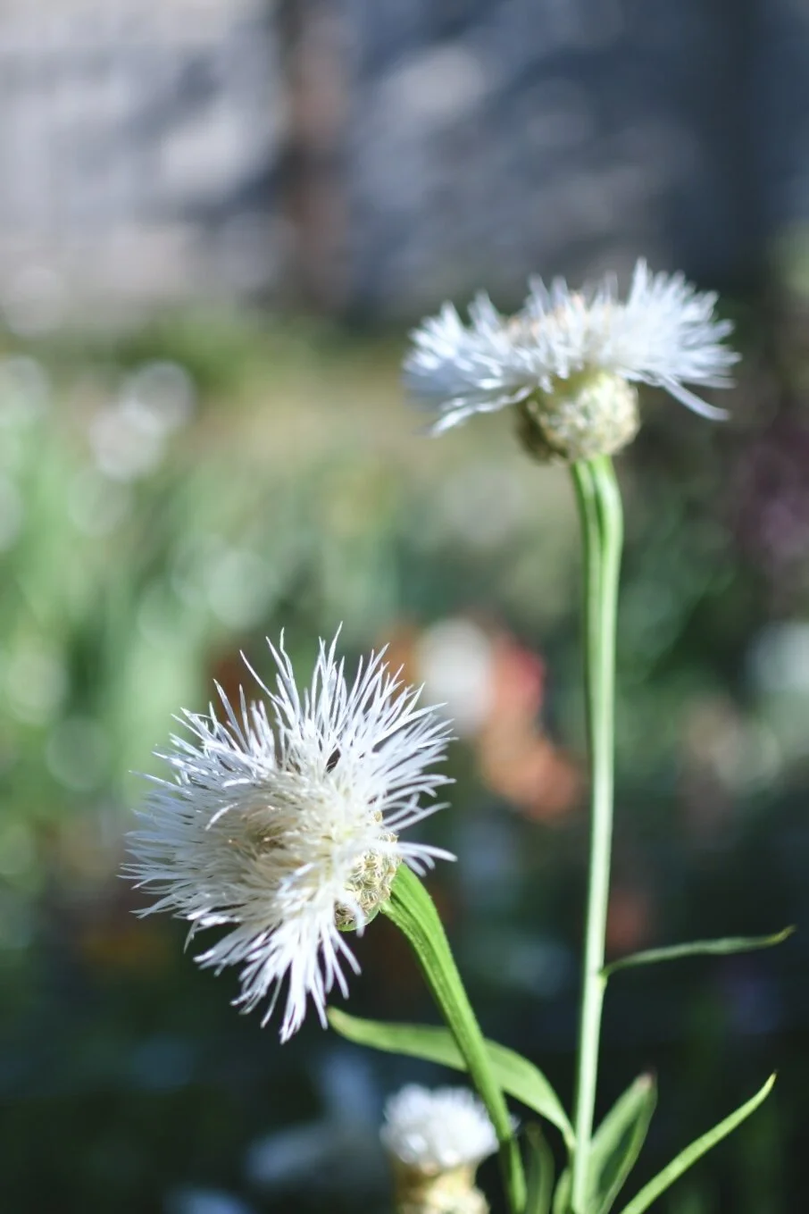 44A225E6-7BB9-4E9E-879F-48052AF0C7E4