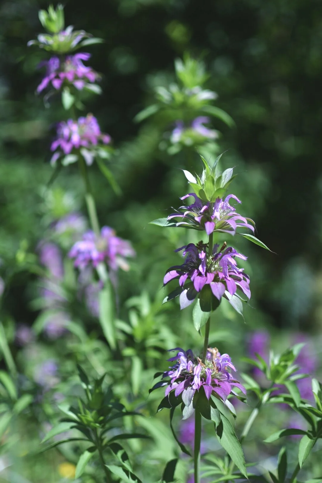 02B775B4-8328-4E32-98B6-C8023364EA0E