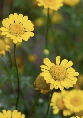 A50BD9C5-1A0F-4027-BD5E-80D640EA5081