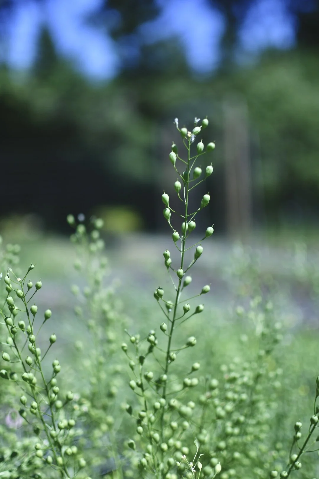 F50A9FEF-44BA-4BBE-8B0A-A59CE08563D3