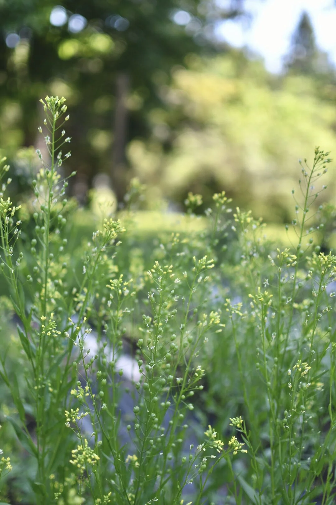 6B831A0B-C07D-403F-935A-2513F65467C1