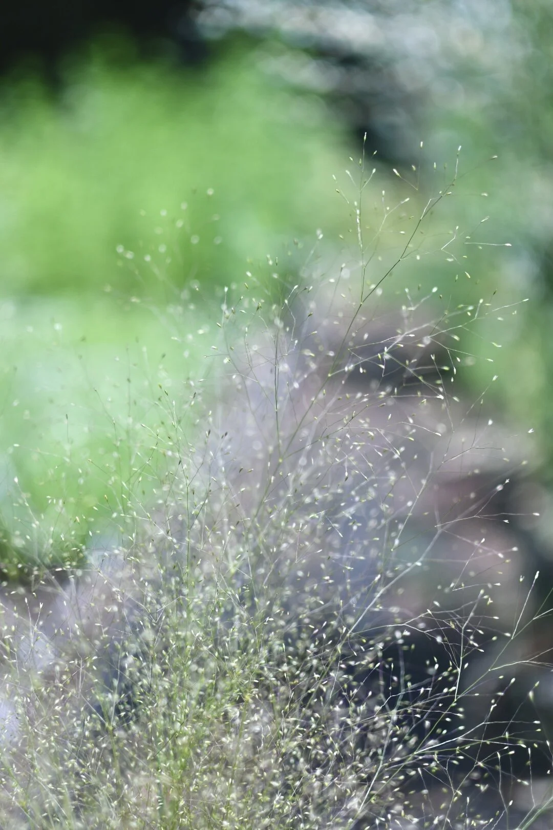 087AE9DE-8FE7-434C-AC9B-2C95E4210F08