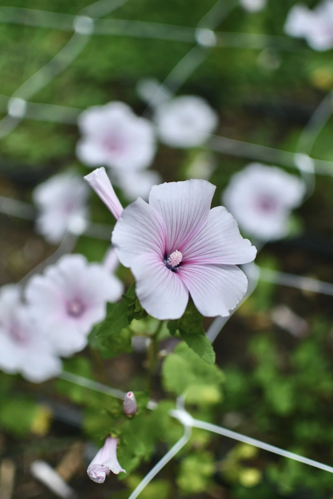 FCE2AAB8-971C-44D9-A980-1BCCE42C2495