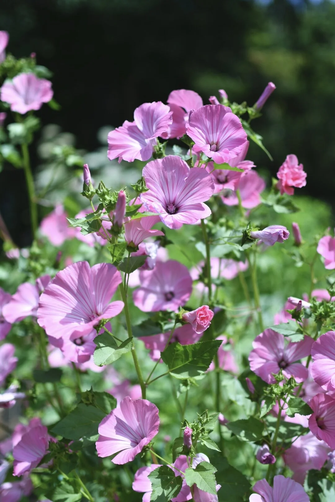 841242E3-F7B9-4E6C-A570-7A99CD5AEB87