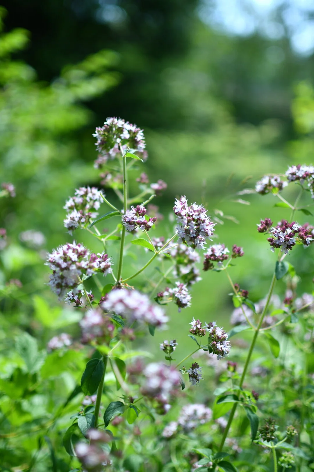 F55B9C5B-6C86-4C72-9380-83822DB3AF14